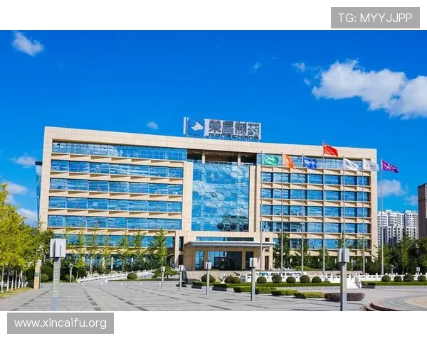 在k8凯发国际入口中如何高效充值，确保资金安全与到账速度