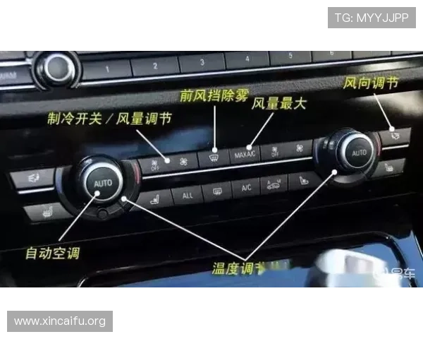 凯发牛牛新手入门必看全面解析游戏规则与操作技巧